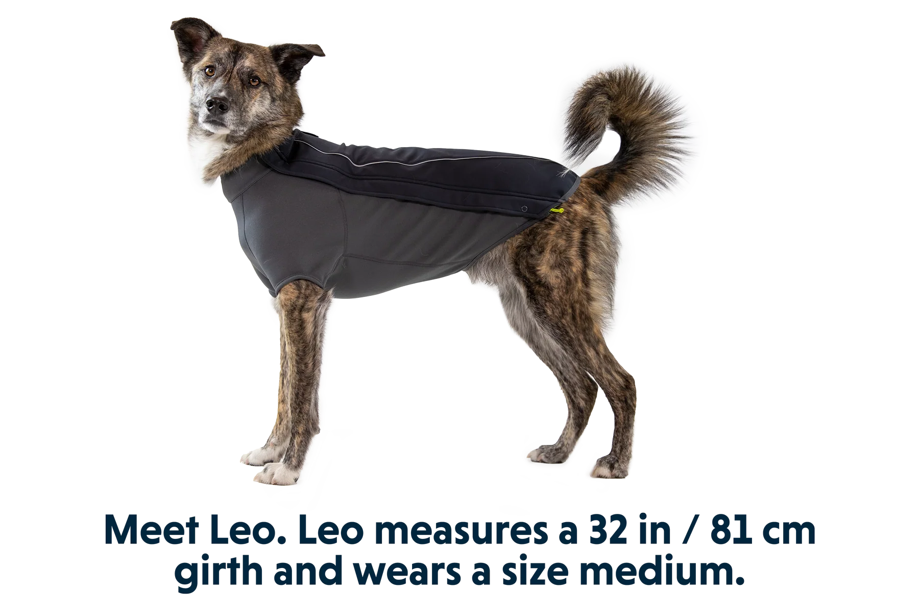Cloud Chaser™ Dog Jacket - Image 10