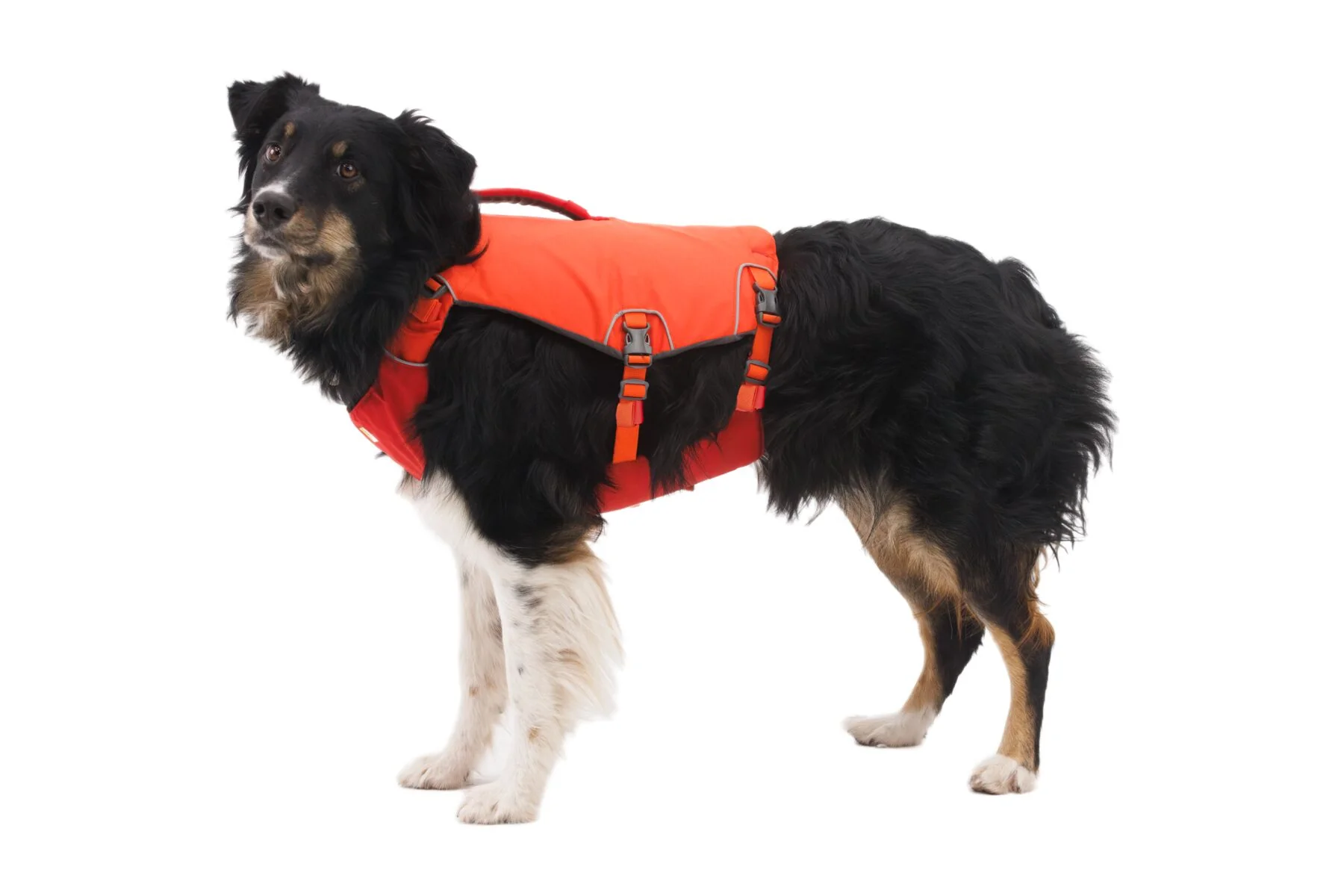 Confluence™ Dog Life Jacket - Image 11