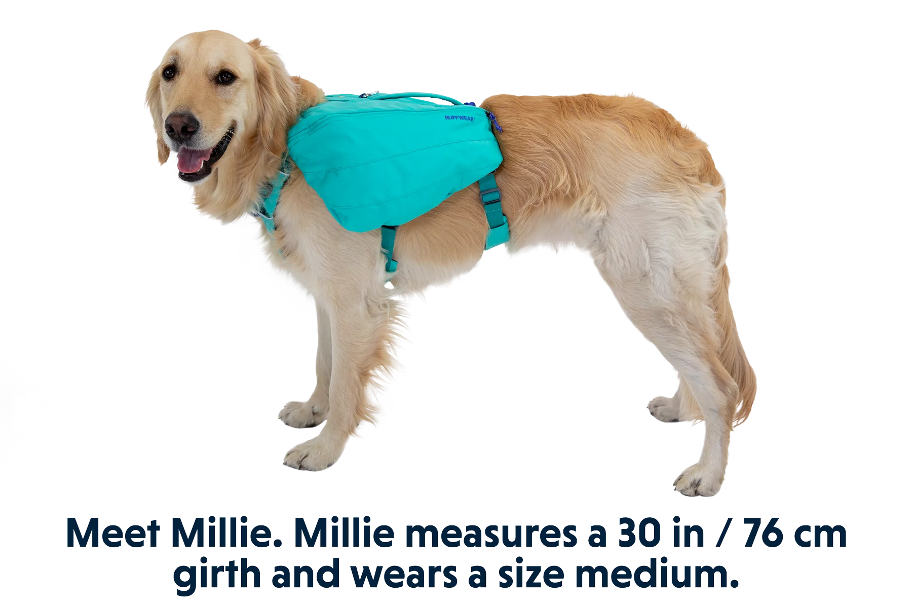 Front Range™ Day Pack - Image 4