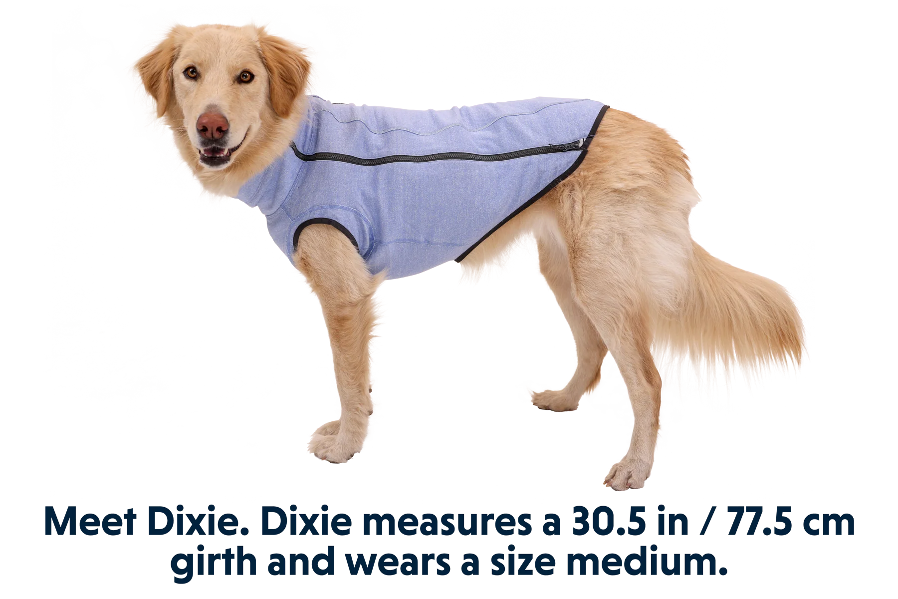 Hemp Hound™ Dog Sweater - Image 10