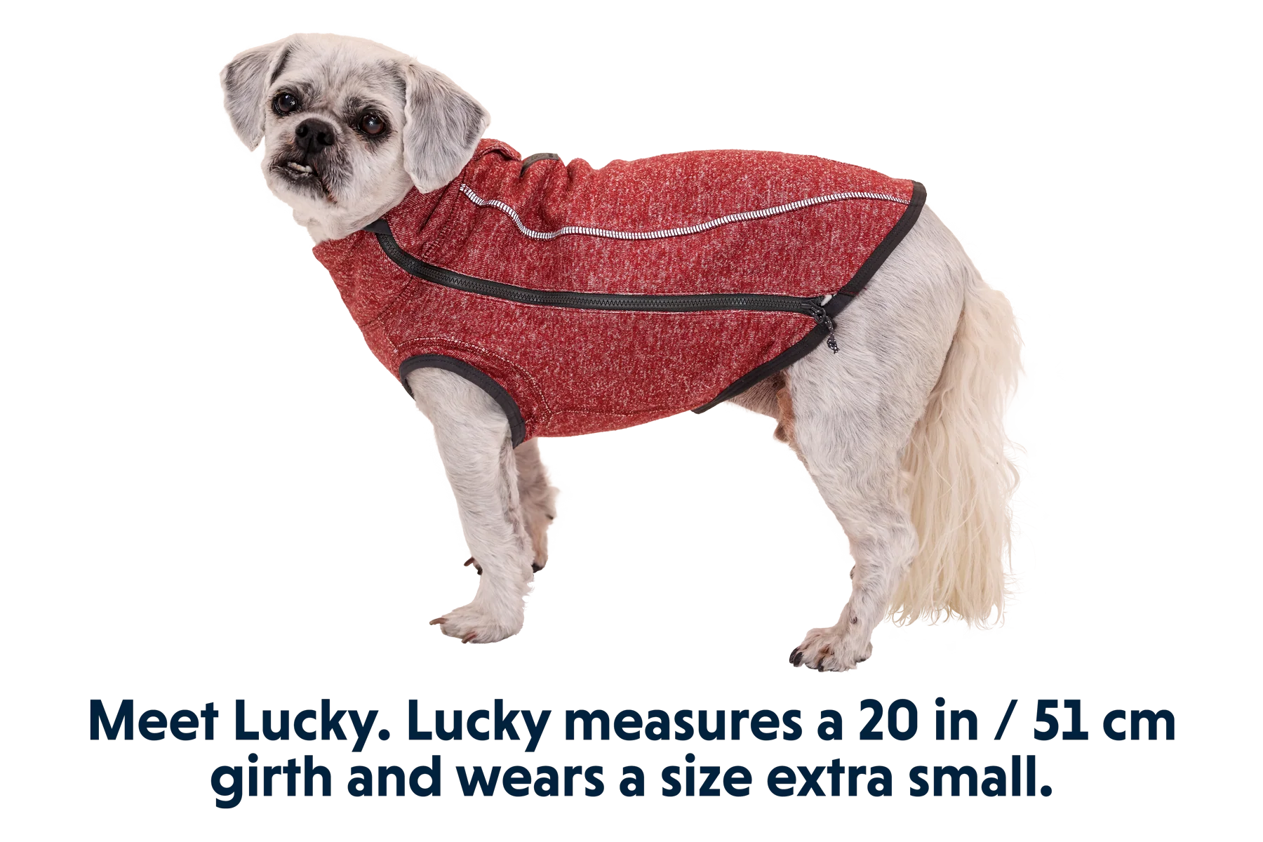 Hemp Hound™ Dog Sweater - Image 3