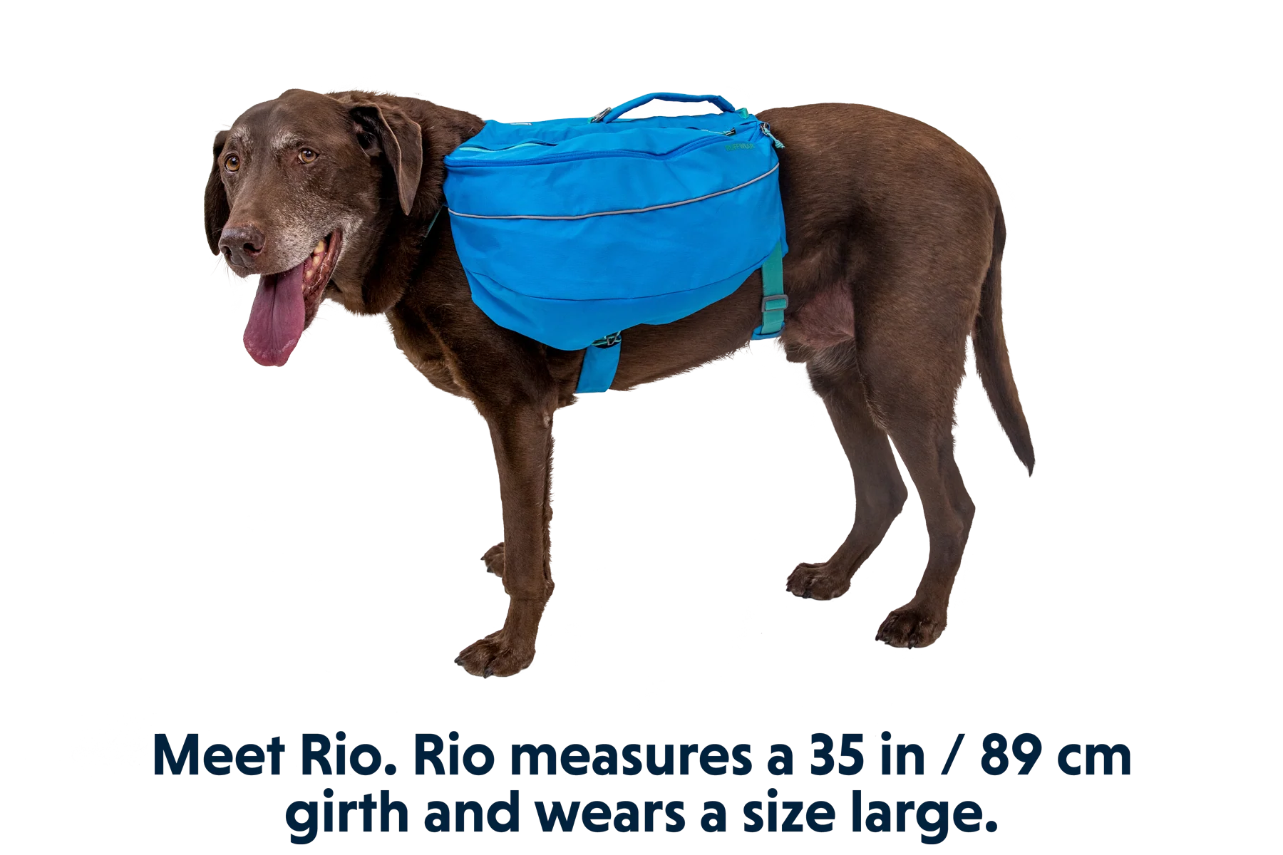 Approach™ Dog Backpack - Image 13