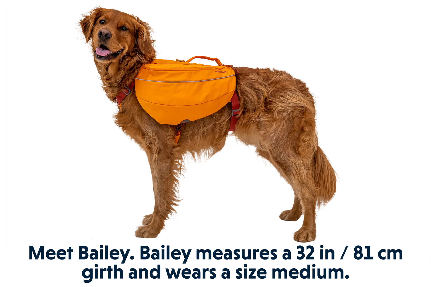 Approach™ Dog Backpack - Image 14
