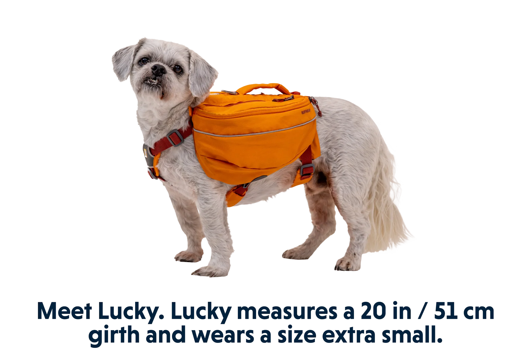 Approach™ Dog Backpack - Image 24