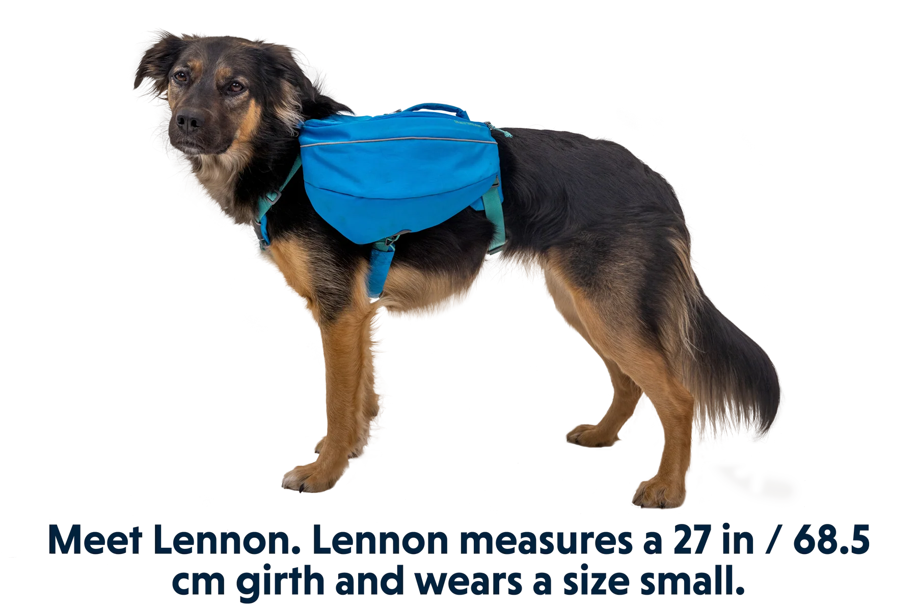 Approach™ Dog Backpack - Image 3