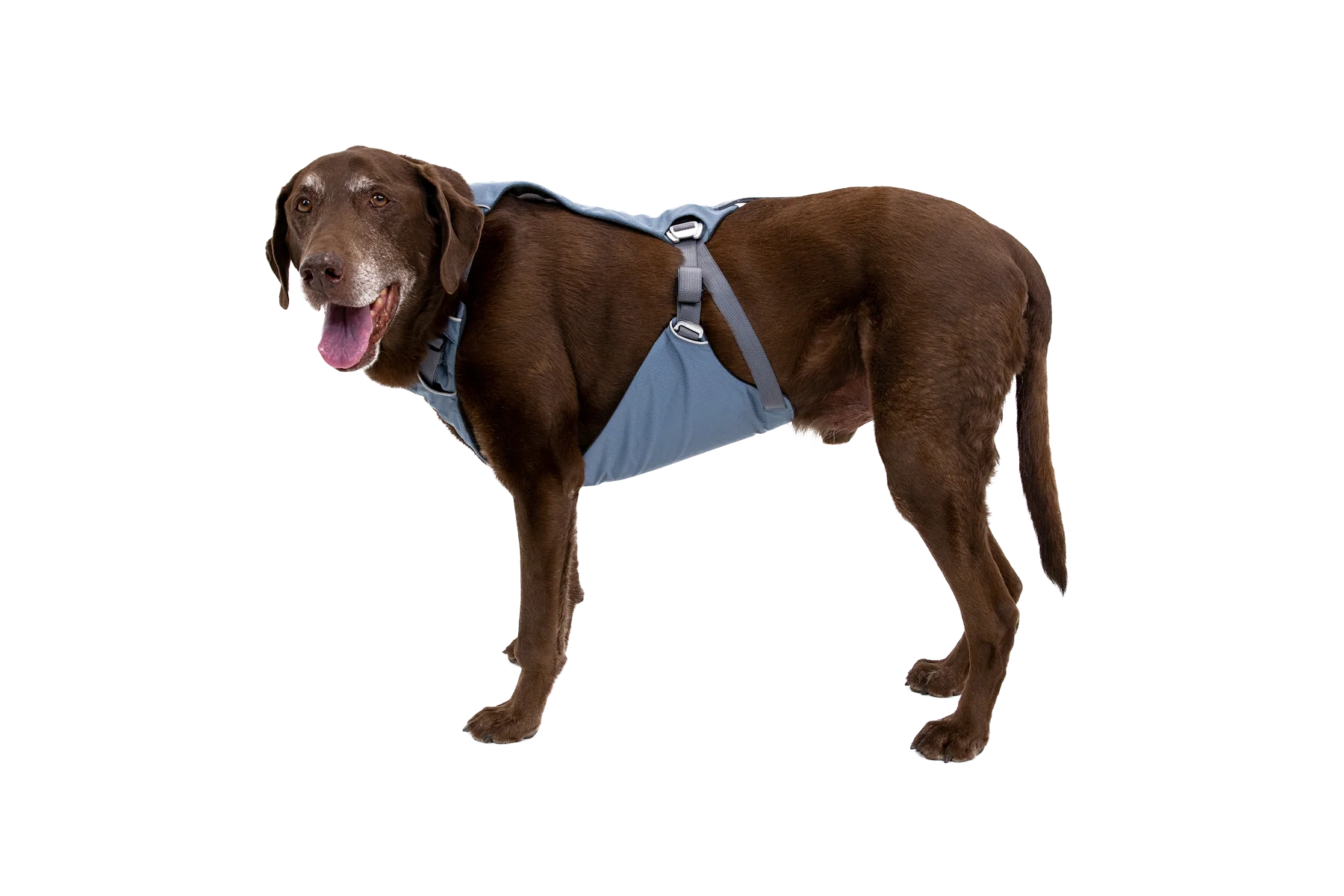 Load Up™ Dog Car Harness - Image 10
