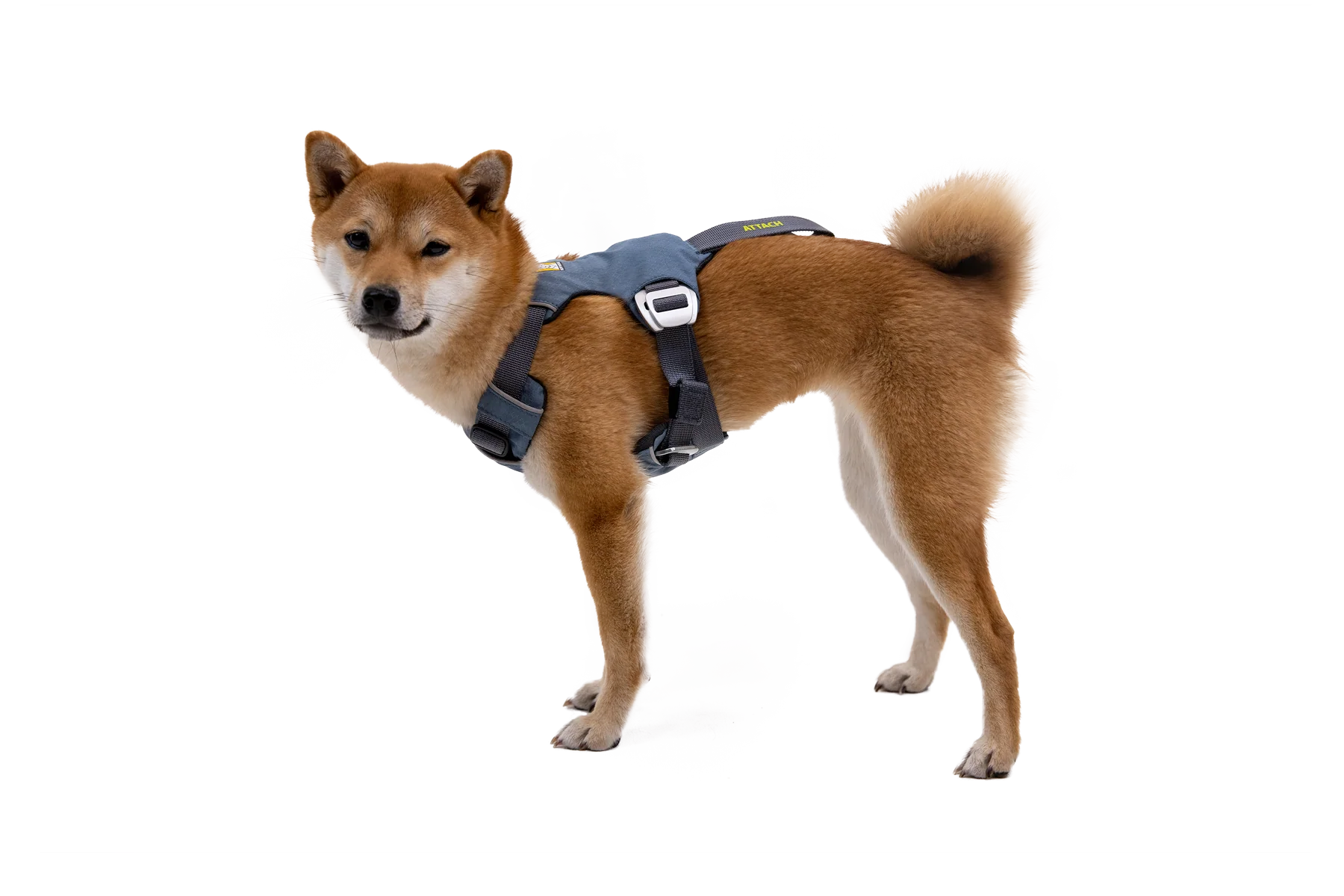 Load Up™ Dog Car Harness - Image 3