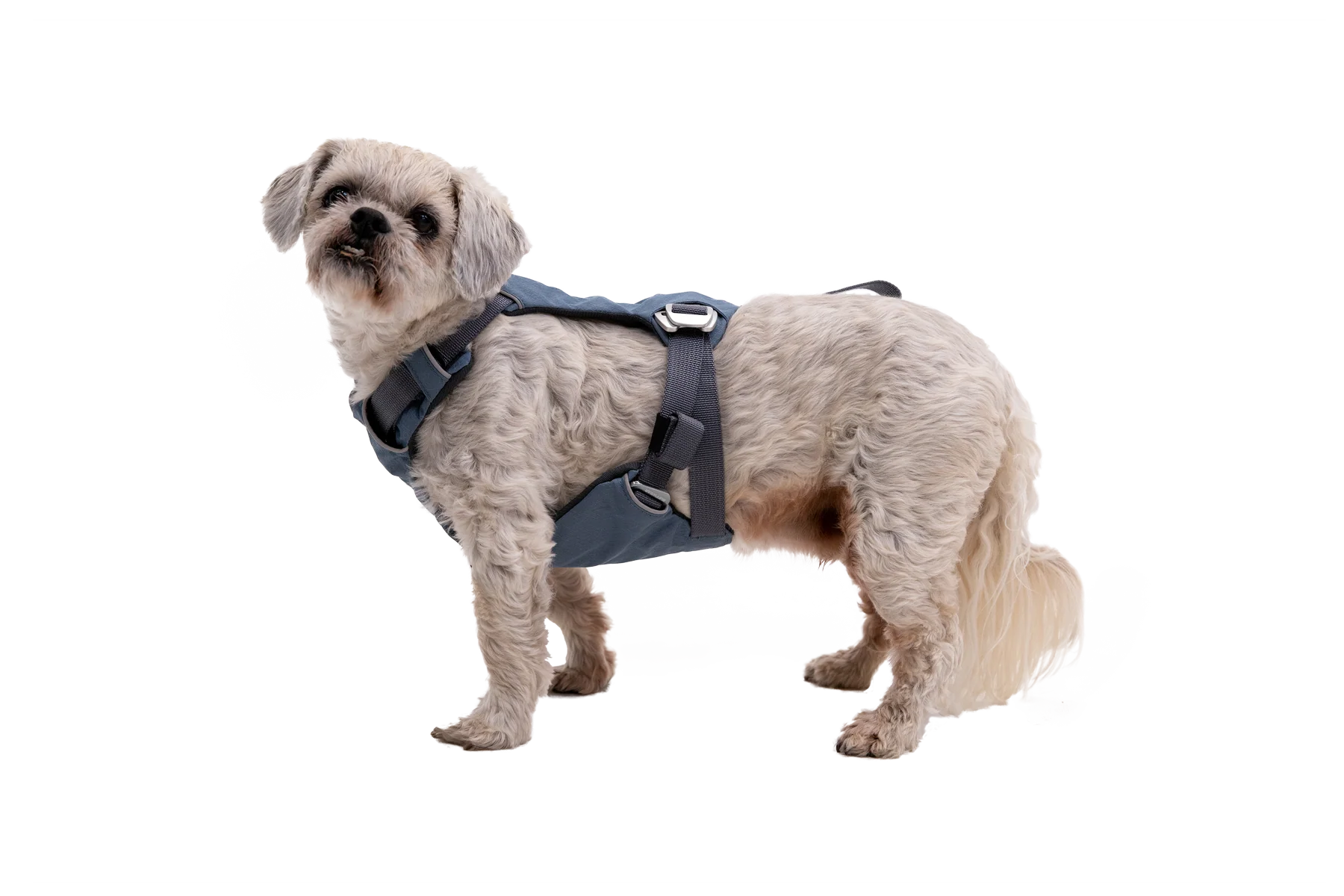 Load Up™ Dog Car Harness - Image 9