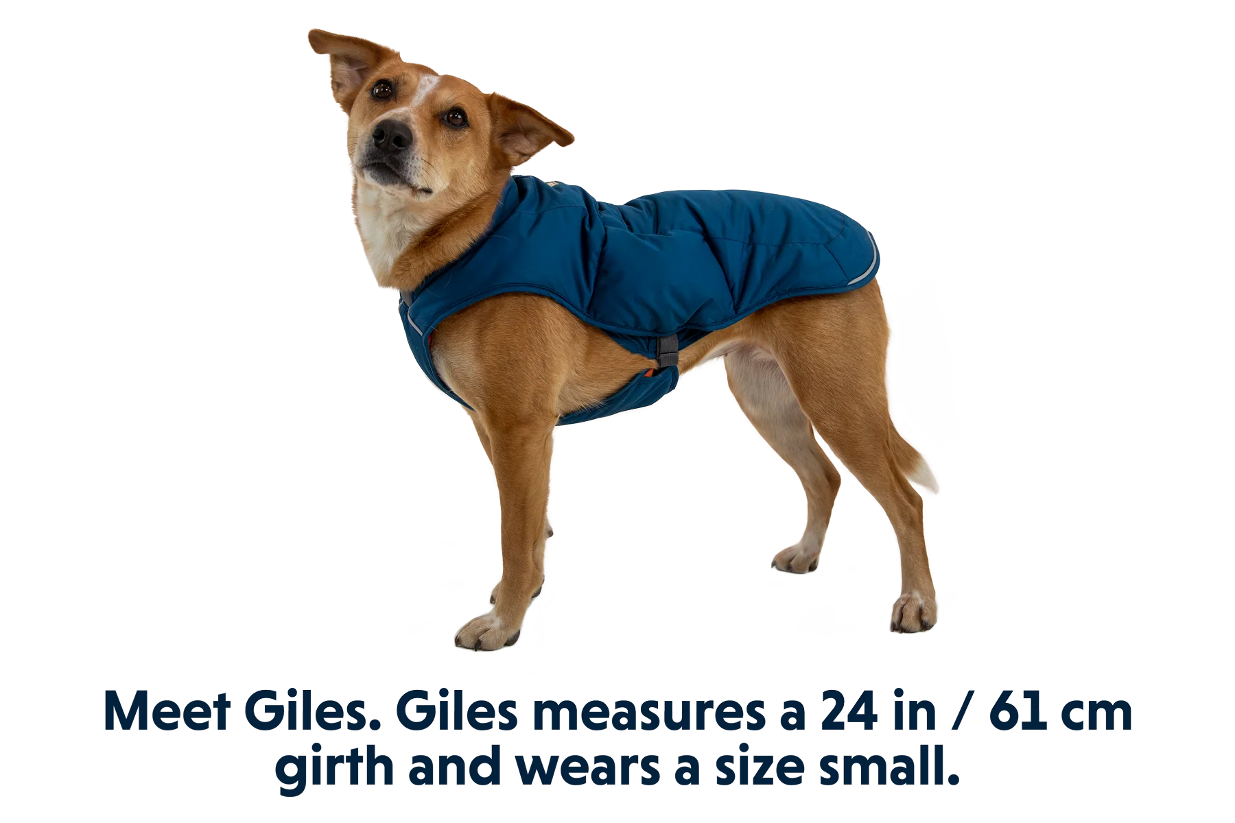 Quinzee™ Insulated Vest - Image 13