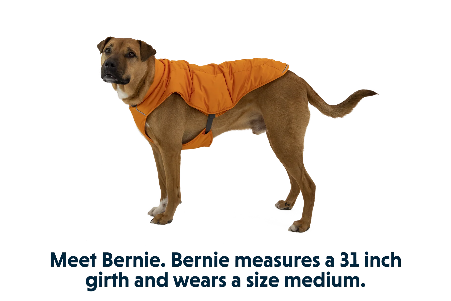 Quinzee™ Insulated Vest - Image 22