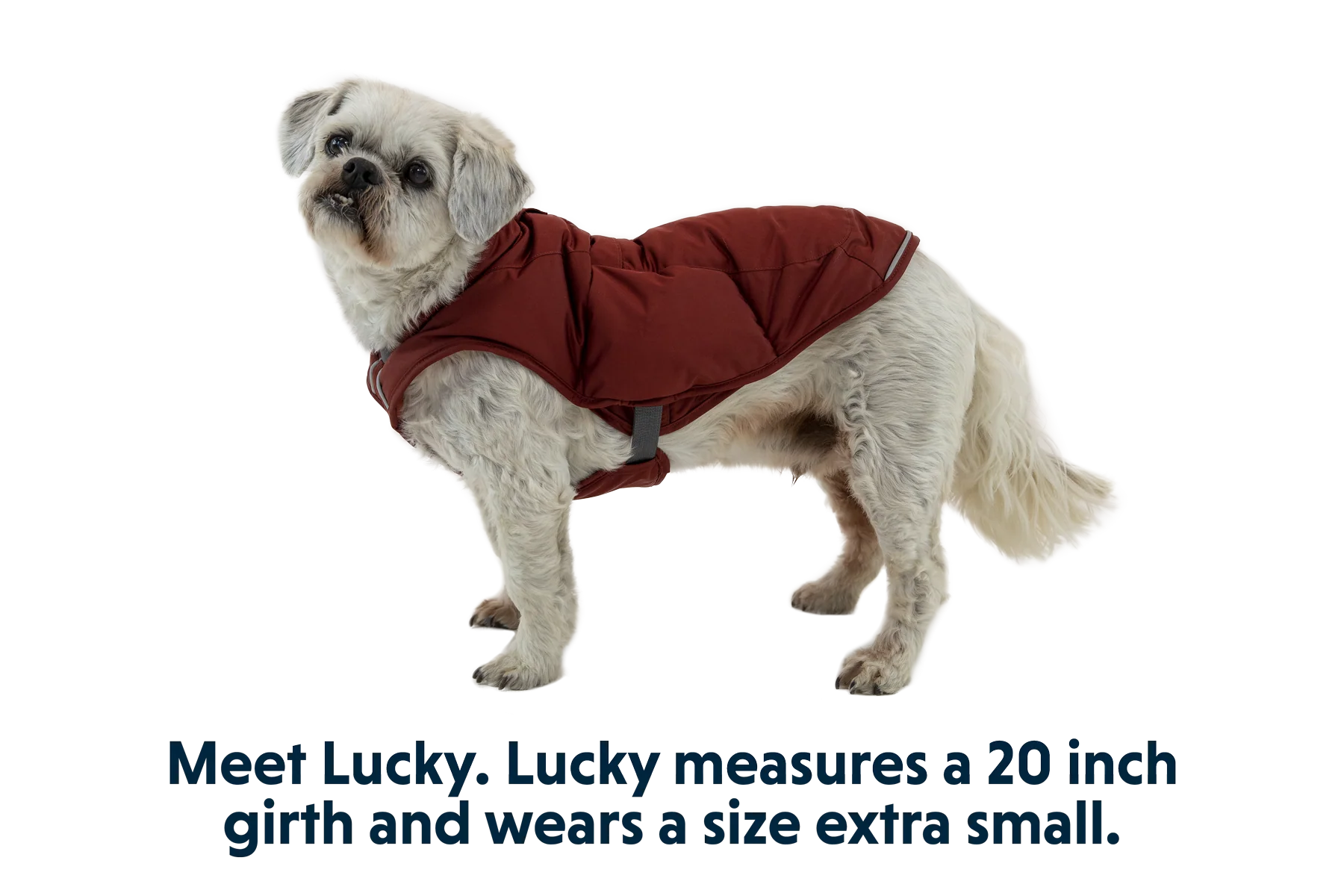 Quinzee™ Insulated Vest - Image 33