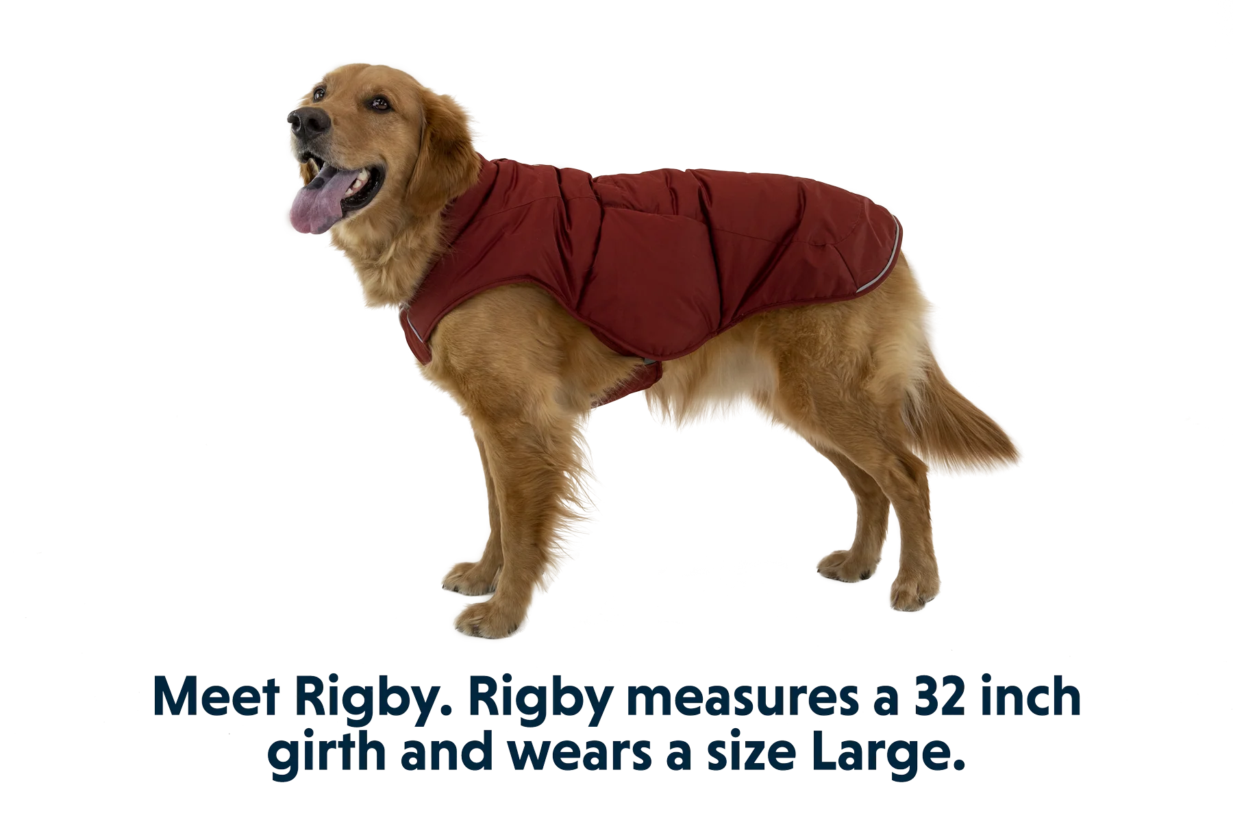 Quinzee™ Insulated Vest - Image 34