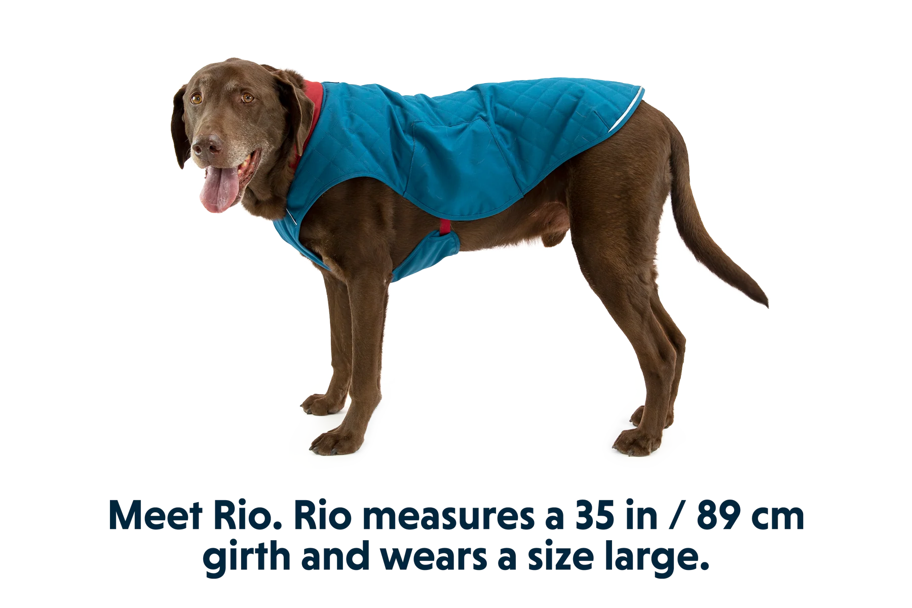 Stumptown™ Insulated Vest - Image 11