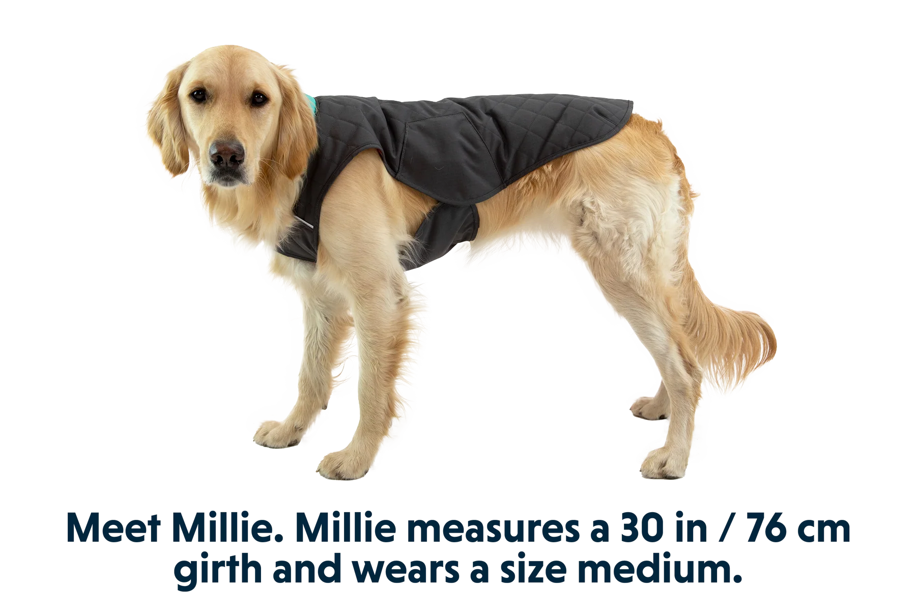 Stumptown™ Insulated Vest - Image 4