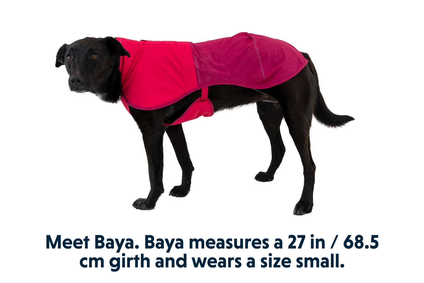 Sun Shower™ Dog Raincoat - Image 14
