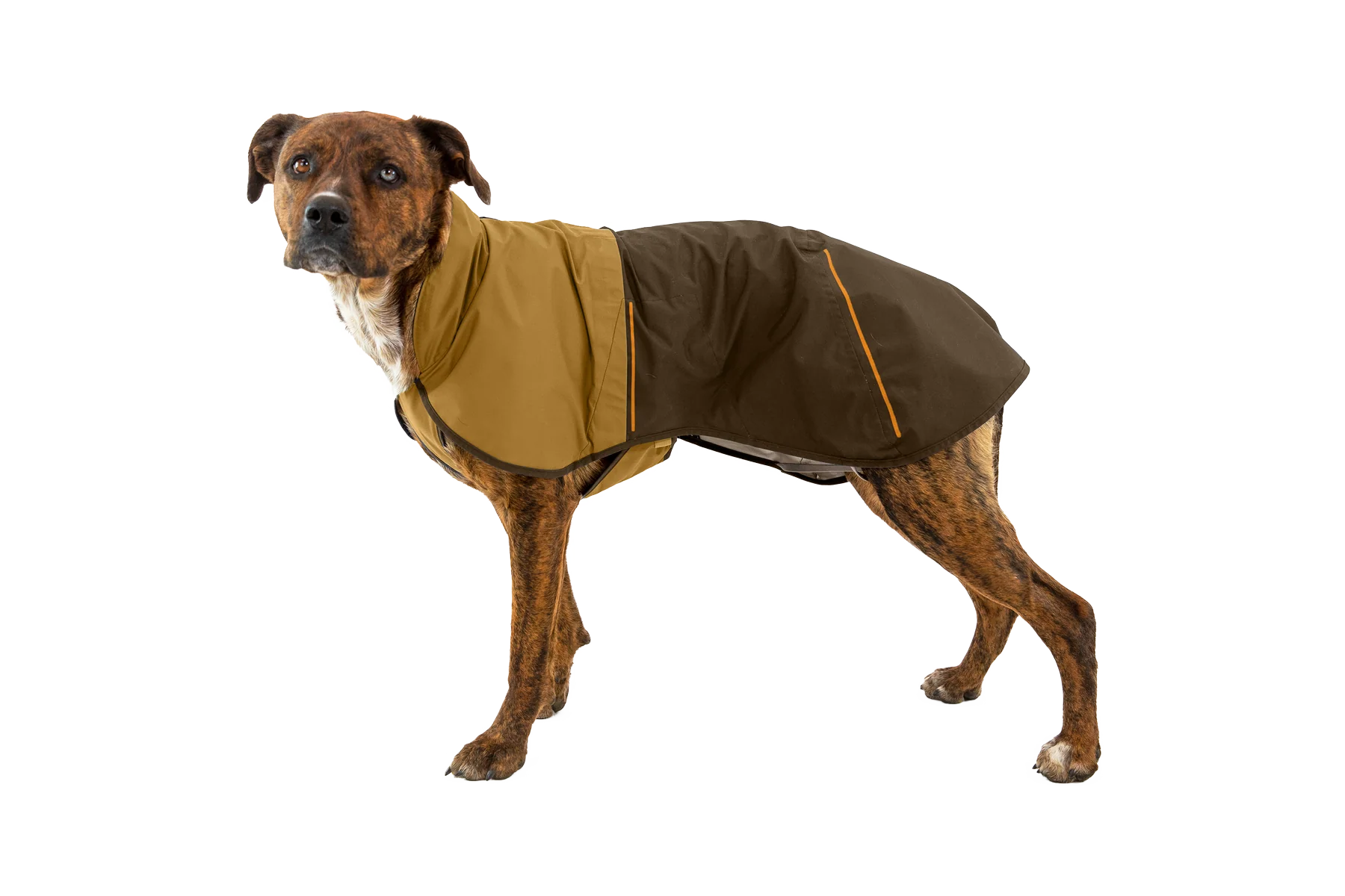 Sun Shower™ Dog Raincoat - Image 34