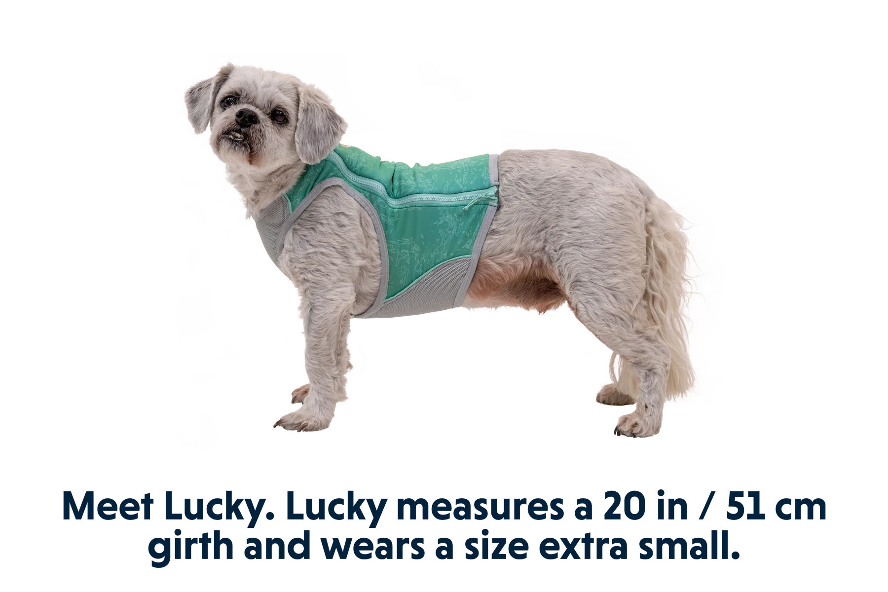 Swamp Cooler Zip™ Cooling Dog Vest - Image 11