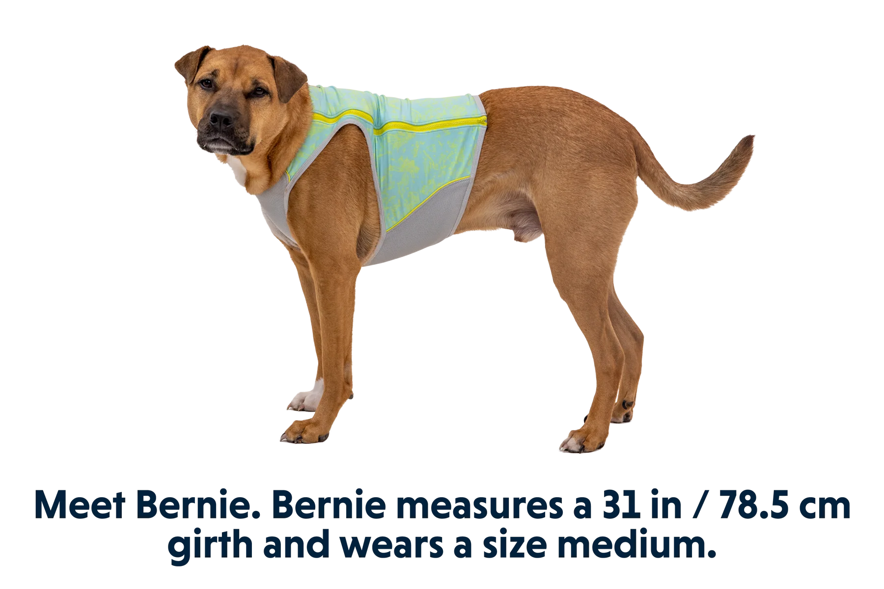 Swamp Cooler Zip™ Cooling Dog Vest - Image 12
