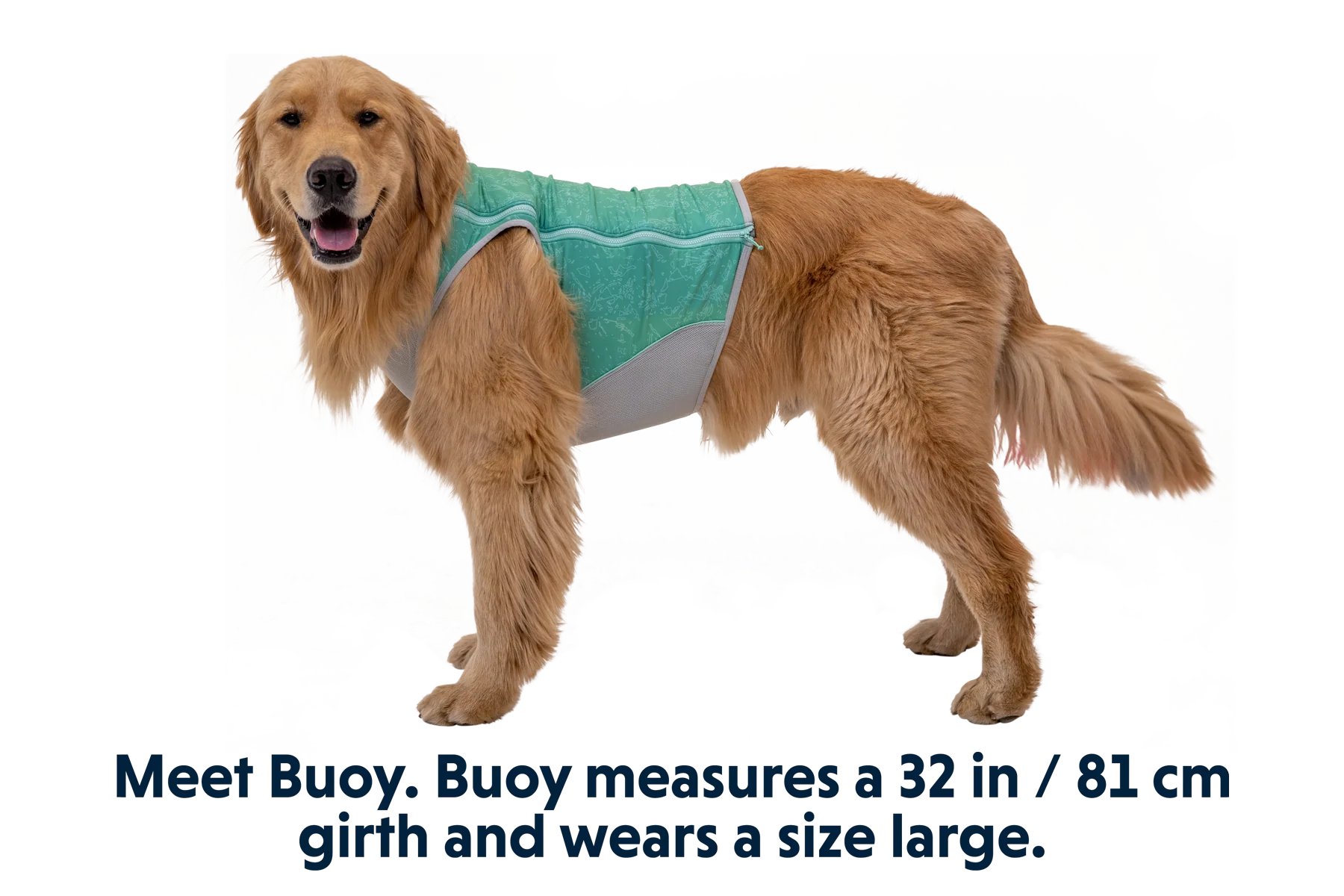 Swamp Cooler Zip™ Cooling Dog Vest - Image 4