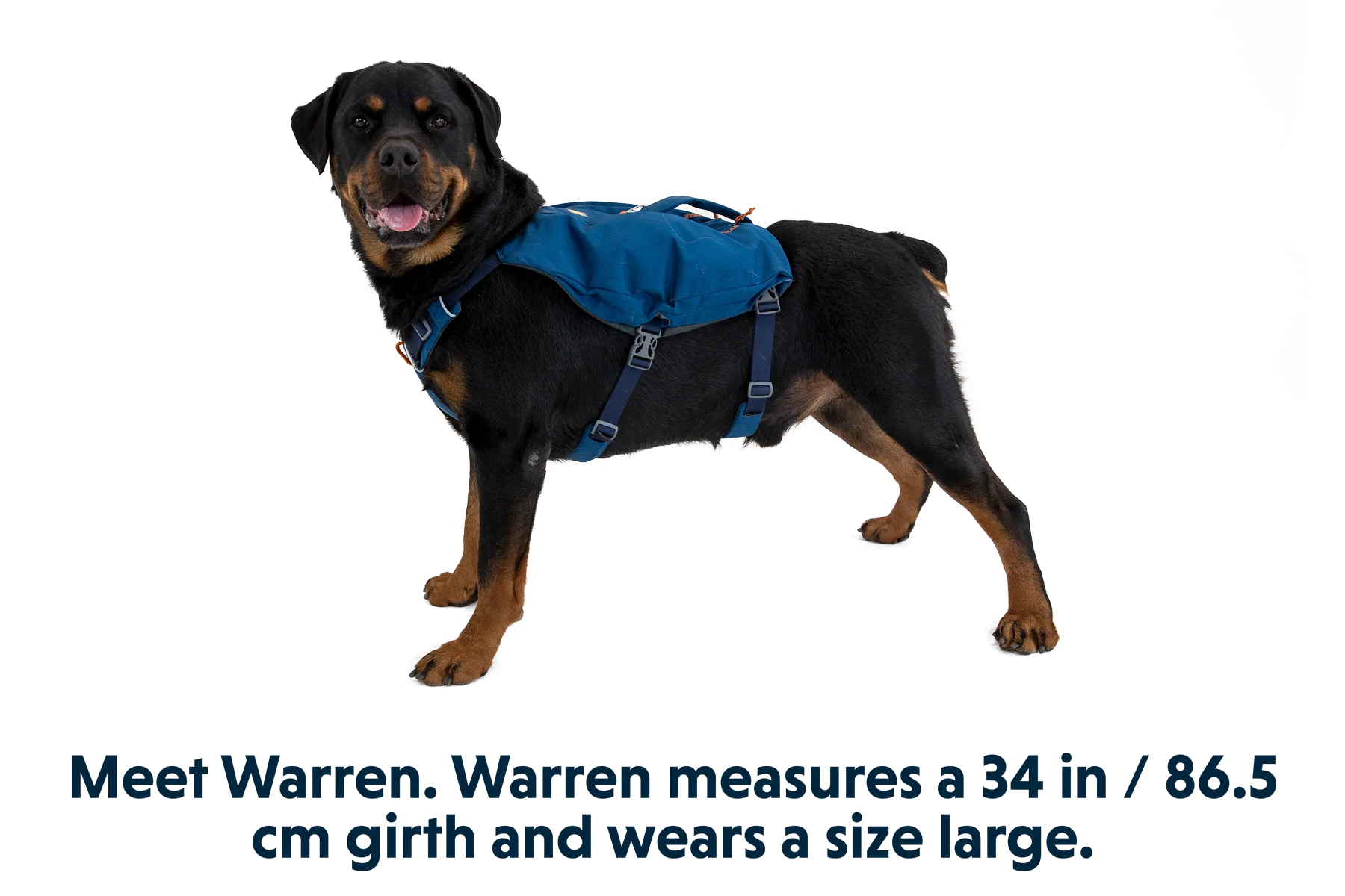 Switchbak™ Dog Harness - Image 3
