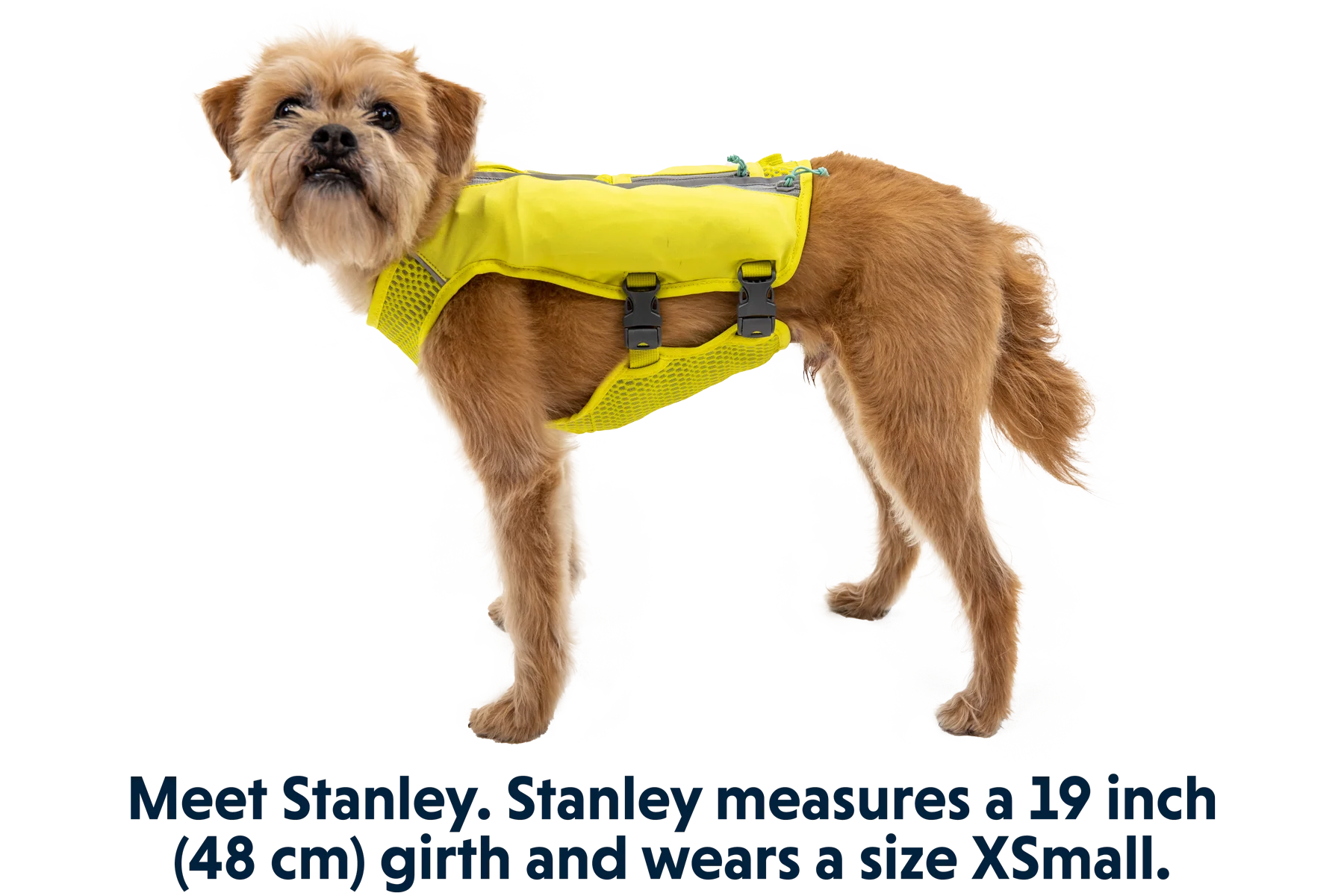 Trail Runner™ Dog Running Vest - Image 19
