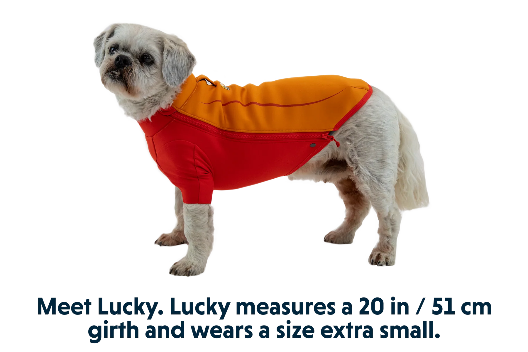 Undercoat™ Dog Water Jacket - Image 16