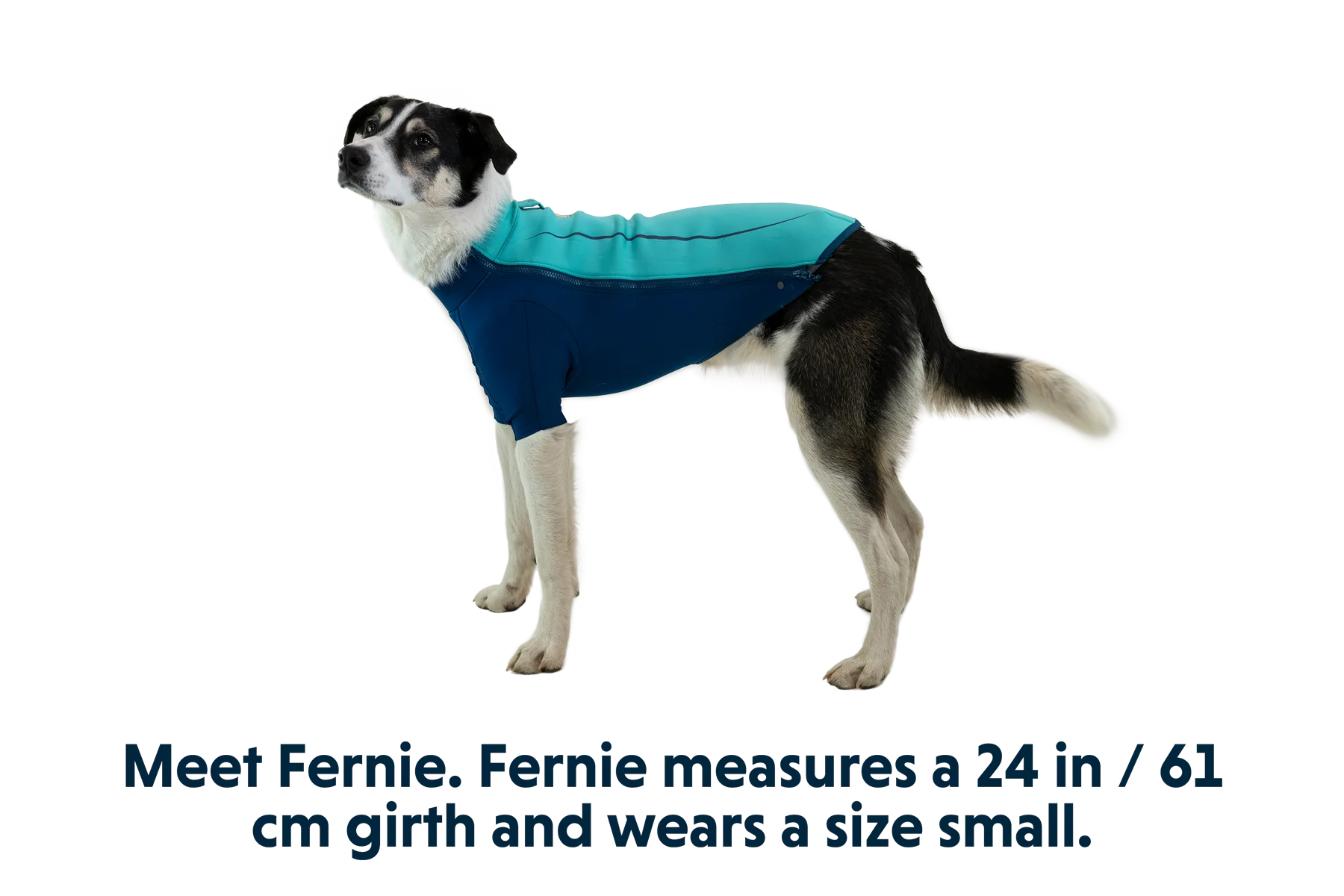 Undercoat™ Dog Water Jacket - Image 8