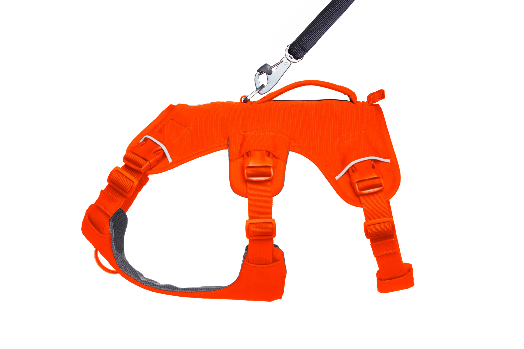 Web Master™ Dog Harness with Handle - Image 18