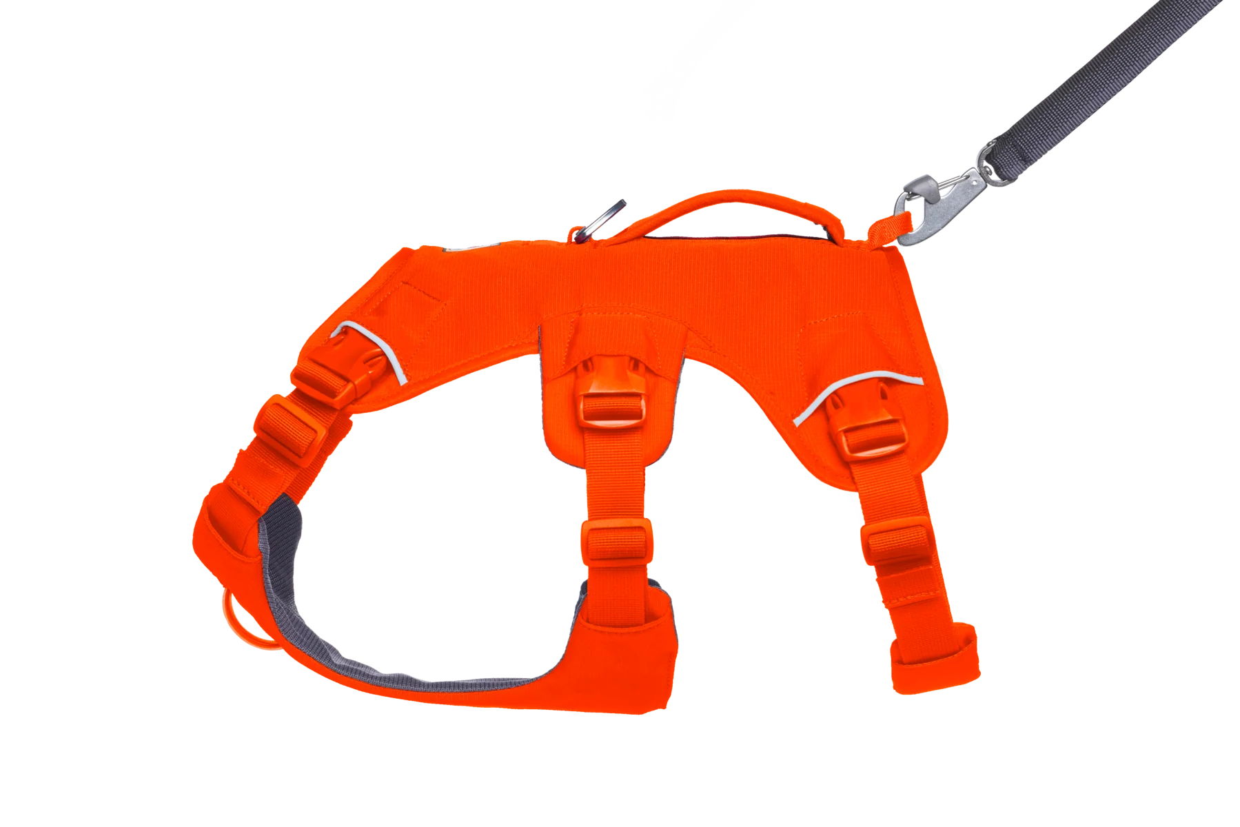 Web Master™ Dog Harness with Handle - Image 20